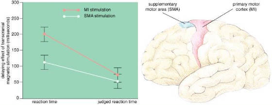 fig4-free-will-am-scientist.jpg