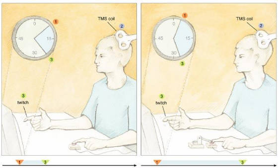 fig5-free-will-am-scientist.jpg