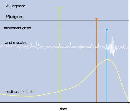 fig3-free-will-am-scientist-.jpg