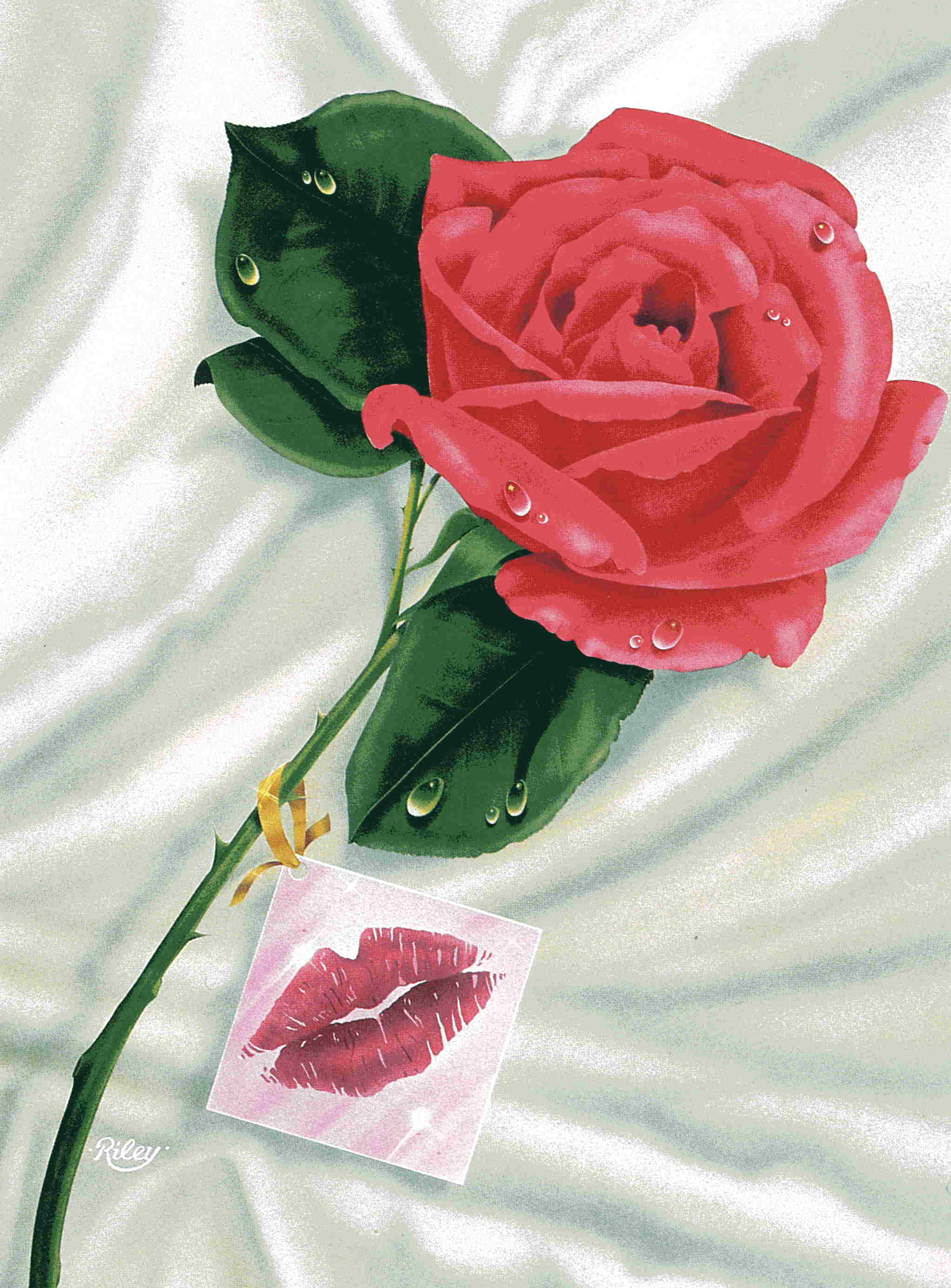 frank-riley-love-rose.jpg